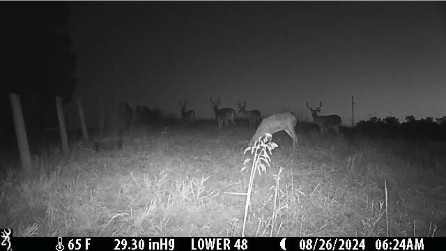 1121 Ashby Road, Lawrenceburg, KY 40342