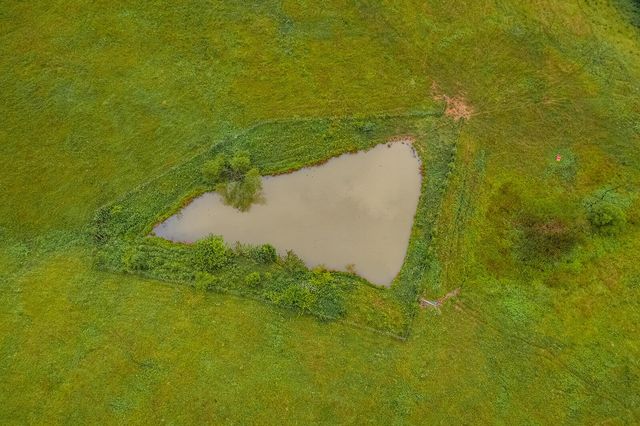 1121 Ashby Road, Lawrenceburg, KY 40342