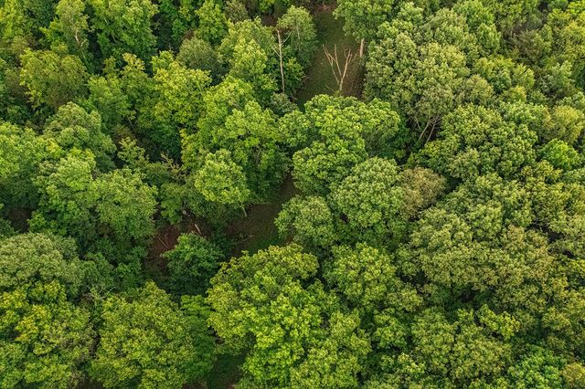 1121 Ashby Road, Lawrenceburg, KY 40342