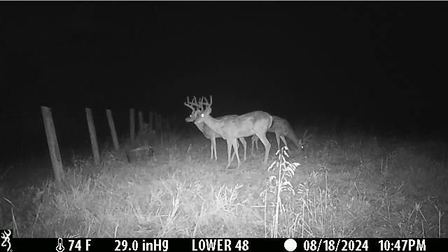 1121 Ashby Road, Lawrenceburg, KY 40342