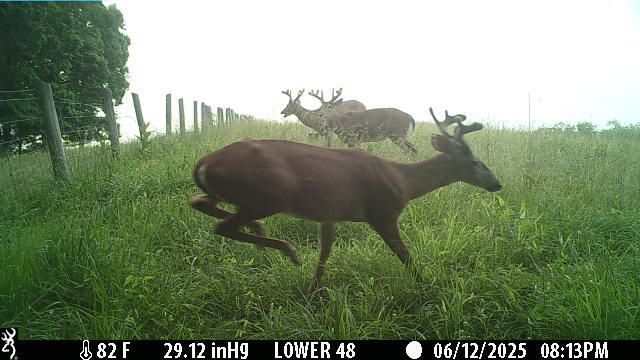 1121 Ashby Road, Lawrenceburg, KY 40342