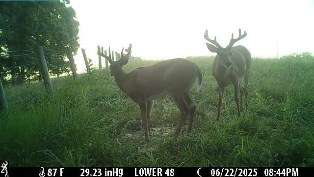 1121 Ashby Road, Lawrenceburg, KY 40342