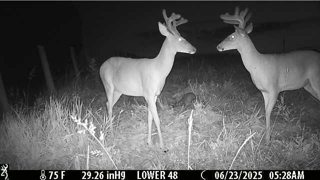 1121 Ashby Road, Lawrenceburg, KY 40342