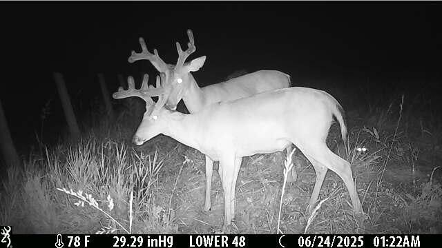 1121 Ashby Road, Lawrenceburg, KY 40342