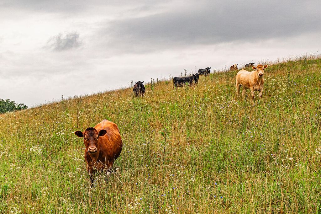 1121 Ashby Road, Lawrenceburg, KY 40342