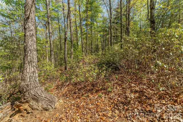 1006 High Trail Drive 32-11, Nebo, NC 28761