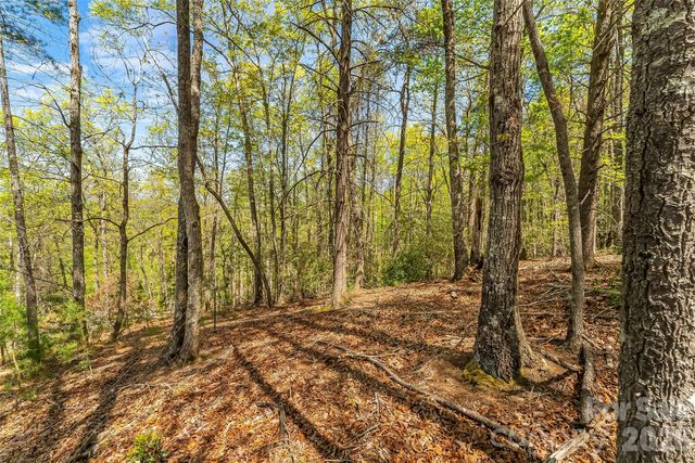 1006 High Trail Drive 32-11, Nebo, NC 28761