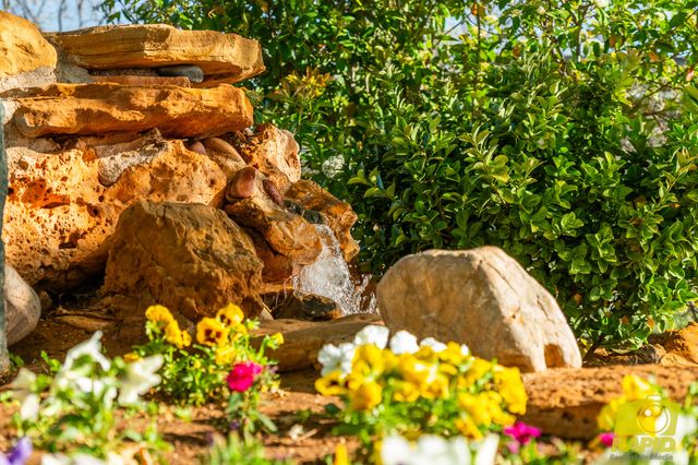 220 Mcdowell Street, Bronte, TX 76933