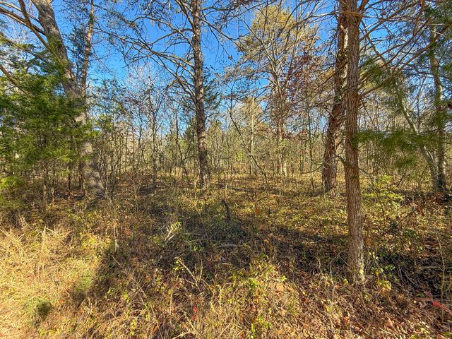 Lot 179 Genes Road, Somerset, KY 42501