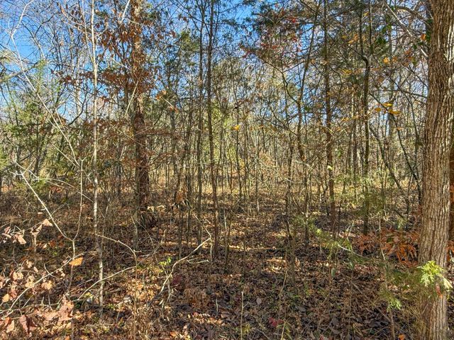 Lot 179 Genes Road, Somerset, KY 42501