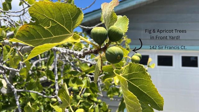 142 Sir Francis Court, Capitola, CA 95010