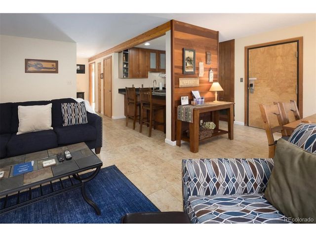 91100 Ryan Gulch Rd 91105, Silverthorne, CO 80498