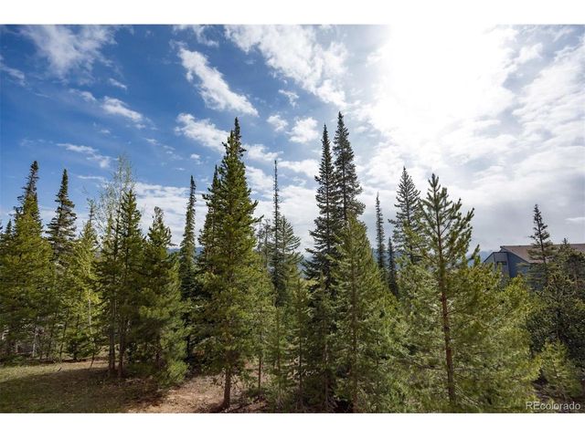 91100 Ryan Gulch Rd 91105, Silverthorne, CO 80498