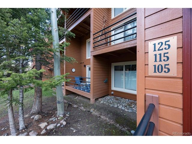 91100 Ryan Gulch Rd 91105, Silverthorne, CO 80498