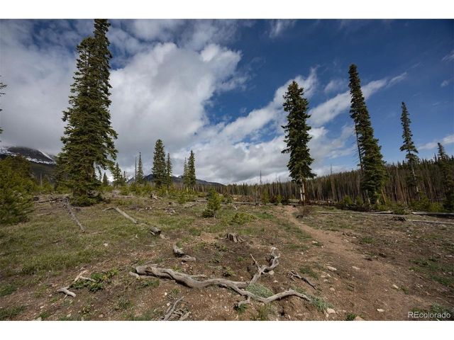 91100 Ryan Gulch Rd 91105, Silverthorne, CO 80498