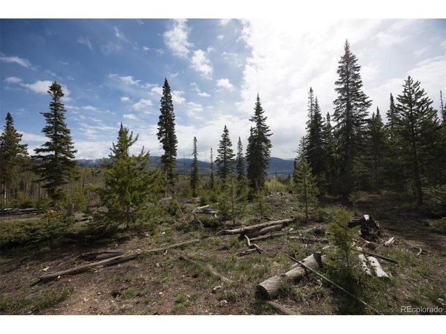 91100 Ryan Gulch Rd 91105, Silverthorne, CO 80498
