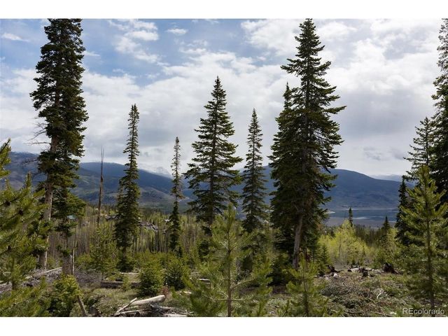 91100 Ryan Gulch Rd 91105, Silverthorne, CO 80498