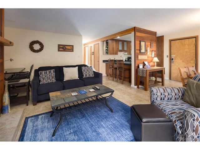 91100 Ryan Gulch Rd 91105, Silverthorne, CO 80498