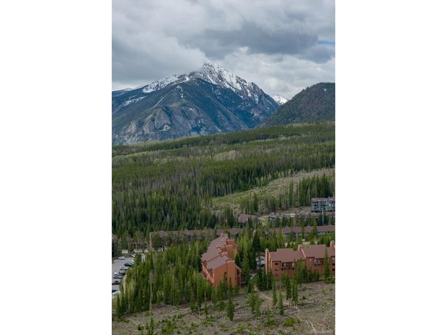 91100 Ryan Gulch Rd 91105, Silverthorne, CO 80498