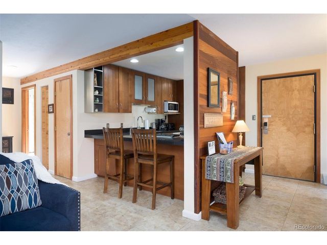 91100 Ryan Gulch Rd 91105, Silverthorne, CO 80498