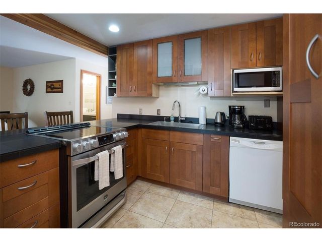 91100 Ryan Gulch Rd 91105, Silverthorne, CO 80498