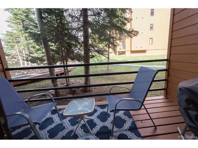 91100 Ryan Gulch Rd 91105, Silverthorne, CO 80498