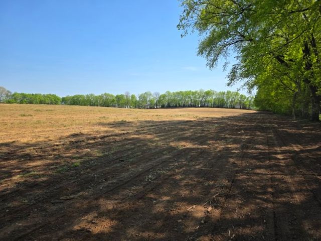 2 Old Zion Rd, Columbia, TN 38401