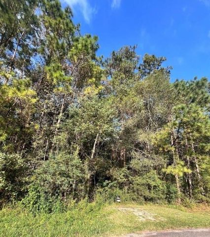 0 White Bass Lane, Livingston, TX 77351