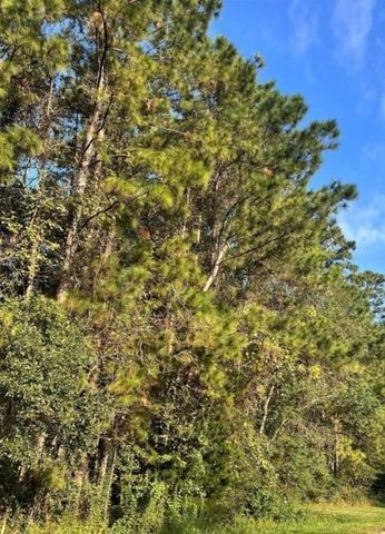 0 White Bass Lane, Livingston, TX 77351