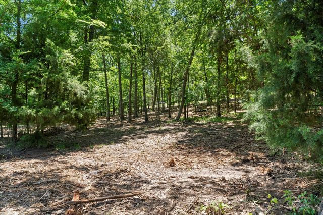 65R King Frederick Court, Scroggins, TX 75480