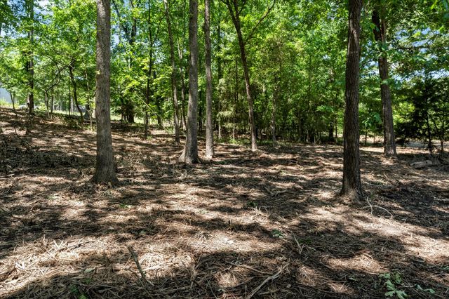 65R King Frederick Court, Scroggins, TX 75480