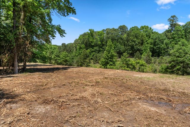 65R King Frederick Court, Scroggins, TX 75480