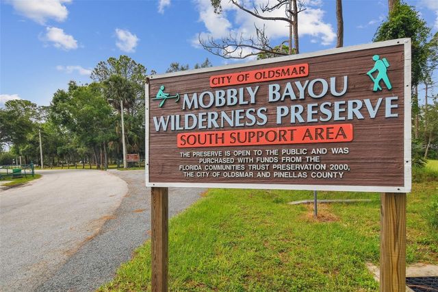 317 SHORE DRIVE E, Oldsmar, FL 34677