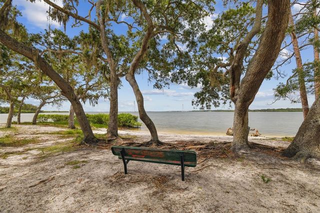 317 SHORE DRIVE E, Oldsmar, FL 34677