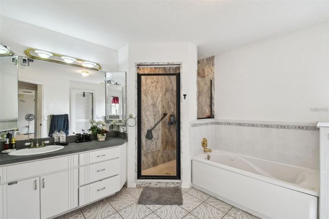 317 SHORE DRIVE E, Oldsmar, FL 34677