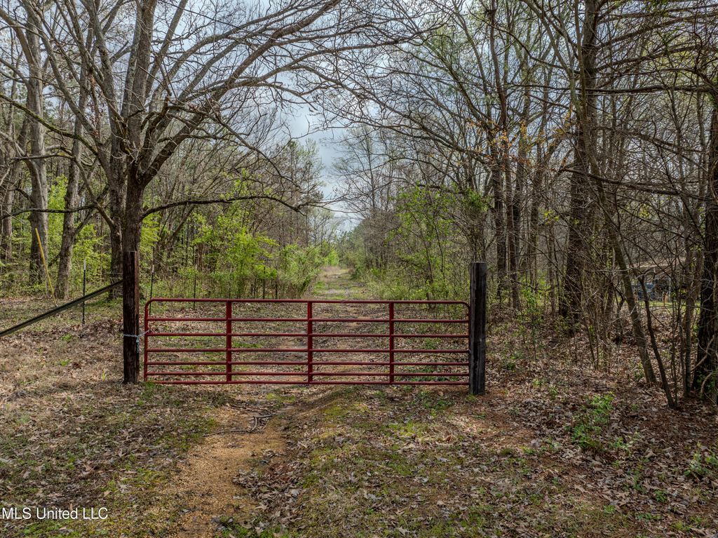 560 N Malone, Hernando, MS 38632 — photo 2