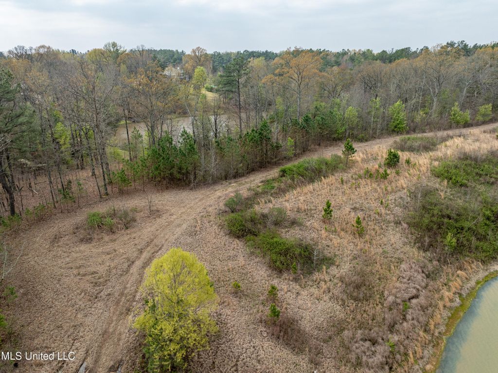 560 N Malone, Hernando, MS 38632 — photo 3