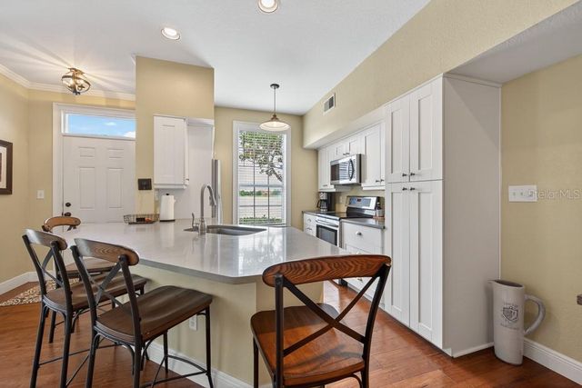 9356 LAKE CHASE ISLAND WAY, Tampa, FL 33626