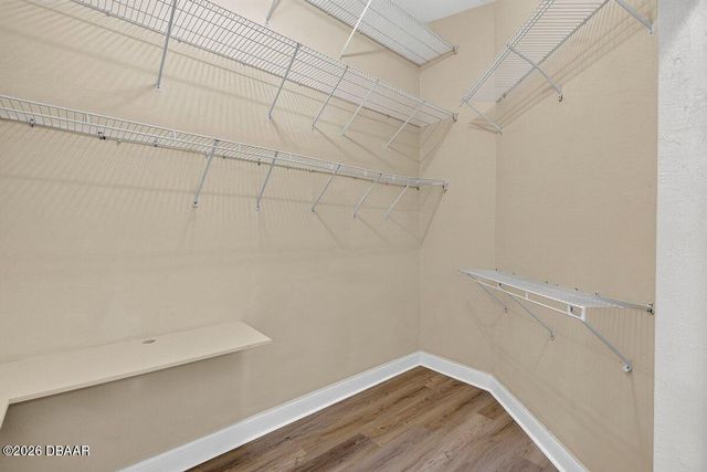 31 Wild Cat Lane, Ormond Beach, FL 32174