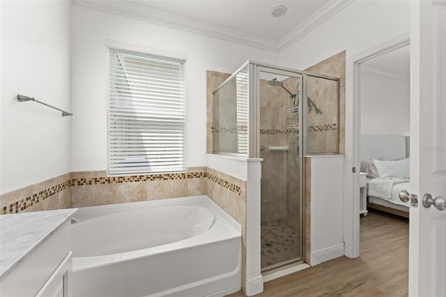 635 NEPTUNE DRIVE, Groveland, FL 34736