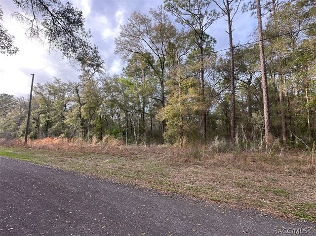 3505 E Lou Lane, Inverness, FL 34453