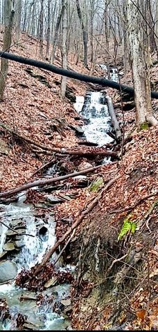 5663 Canadice Lake Road, Canadice, NY 14560