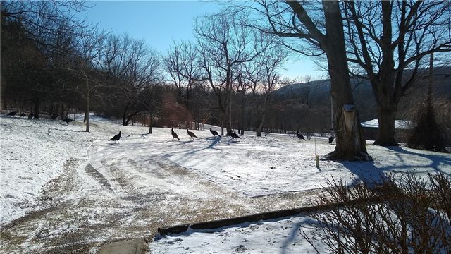 5663 Canadice Lake Road, Canadice, NY 14560