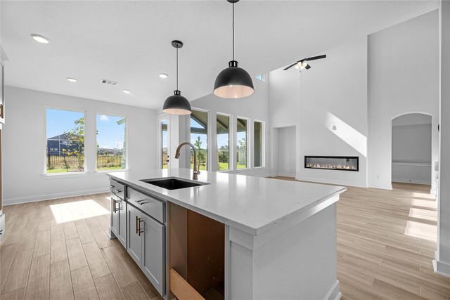 32433 Forktail Lake Drive, Fulshear, TX 77441