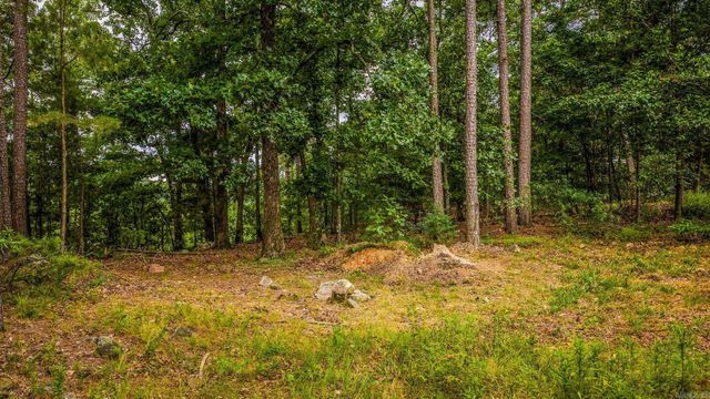 234 Summit Valley Circle, Maumelle, AR 72113