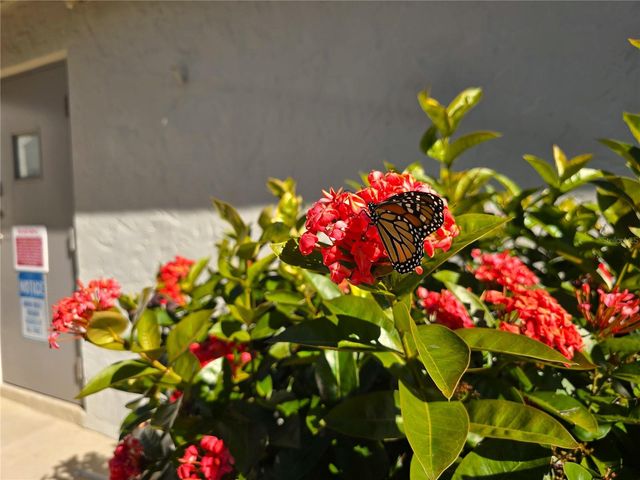 2625 STATE ROAD 590 1913, Clearwater, FL 33759