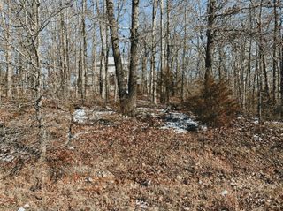 000 Lot 2 Block 13 Morrison Sub, West Plains, MO 65775