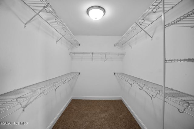 336 Gerbera Court, Greenville, NC 27858