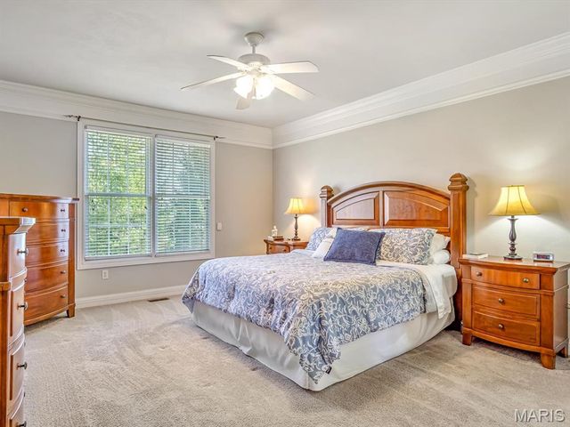 9 Timber Bluff Court, Glen Carbon, IL 62034