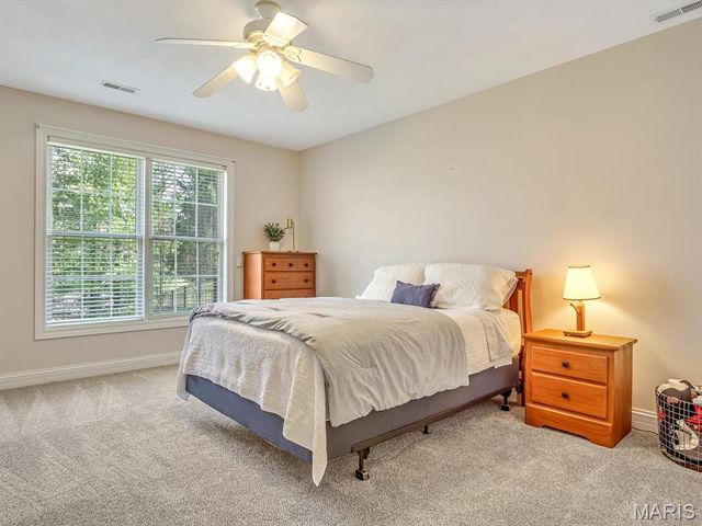 9 Timber Bluff Court, Glen Carbon, IL 62034